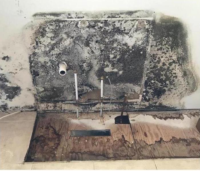 mold on sheetrock behind sink 