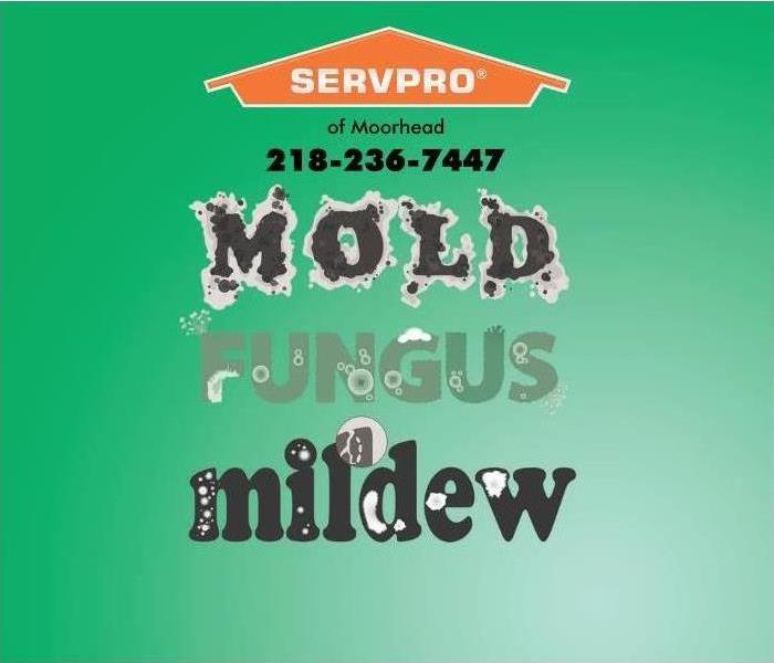 image with word art of mold and mildew