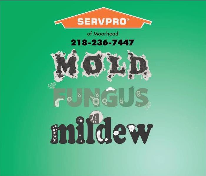 graphic with mold and mildew words on it 
