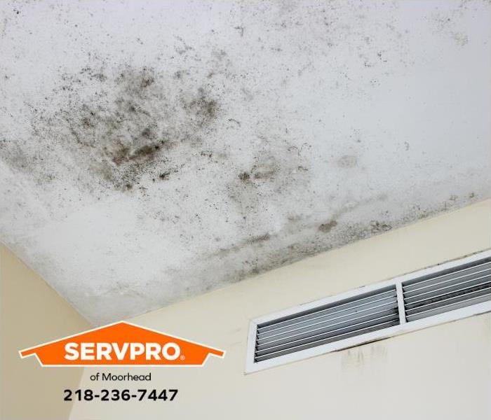 Mold is visible on the ceiling of a home.